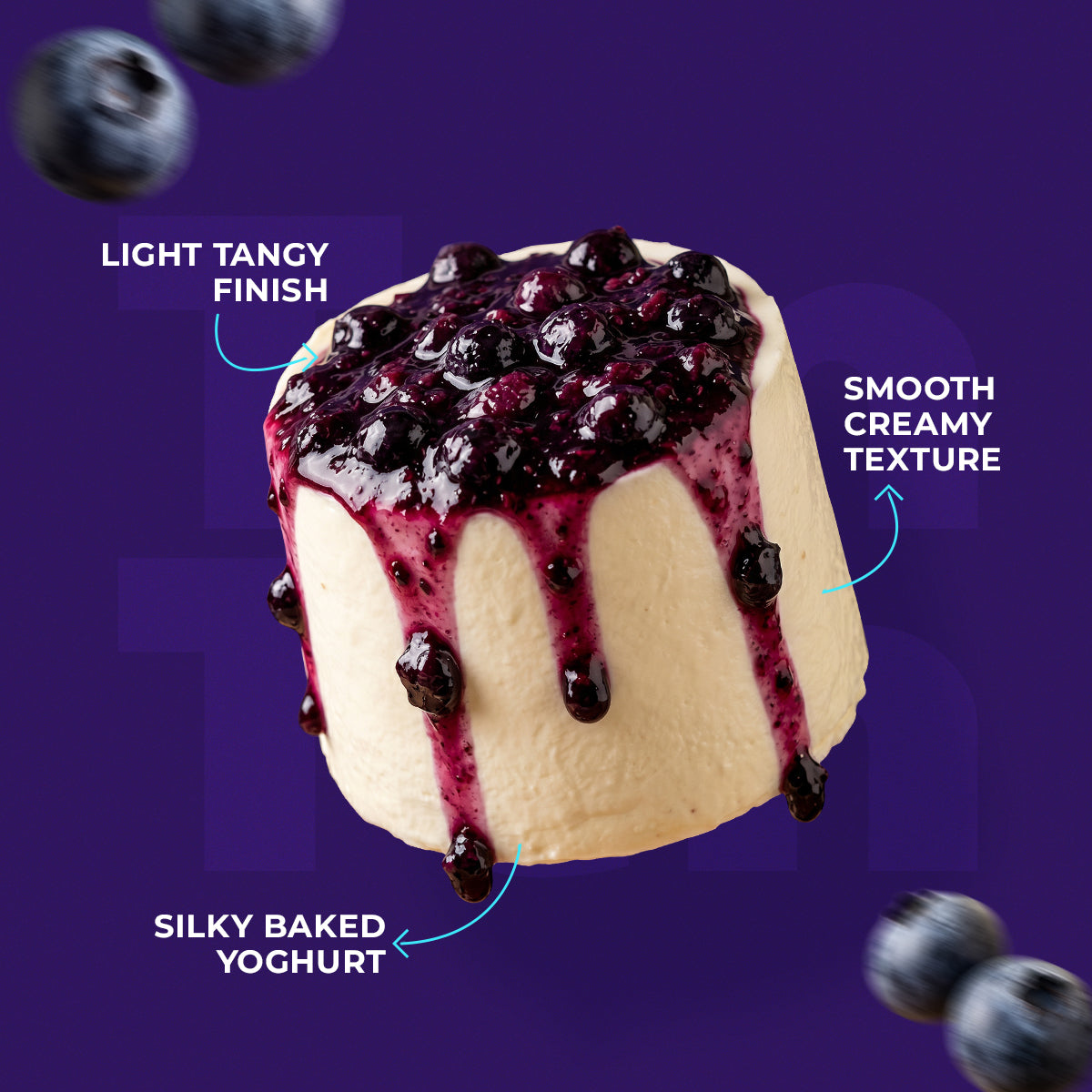 tenten yoghurt Blueberry Baked Yoghurt – Ten Ten